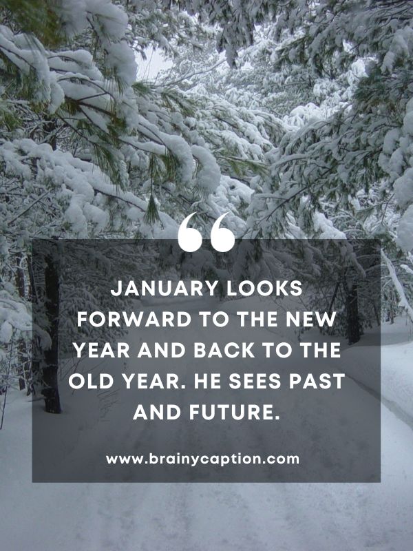 Quote Of The Day 1 January- January looks forward to the new year and back to the old year. He sees past and future.