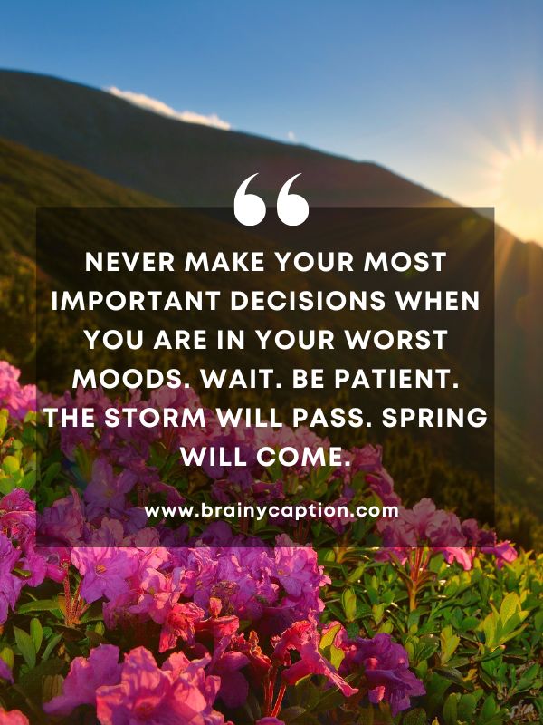 Quote Of The Day March 18- Never make your most important decisions when you are in your worst moods. Wait. Be patient. The storm will pass. Spring will come.