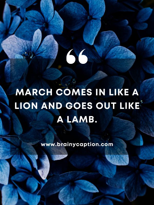 Quote Of The Day March 31- March comes in like a lion and goes out like a lamb.