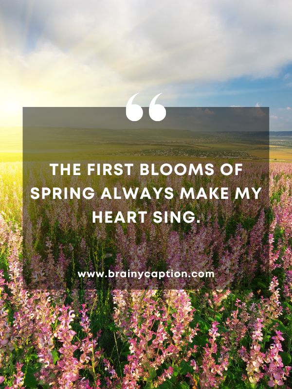 Thought Of The Day March 30- The first blooms of spring always make my heart sing.