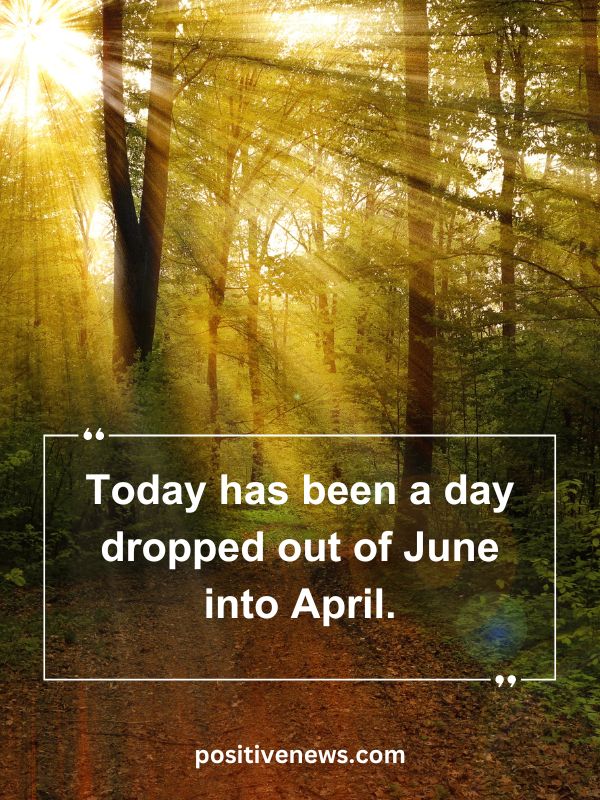 Quote Of The Day April 25- Today has been a day dropped out of June into April.