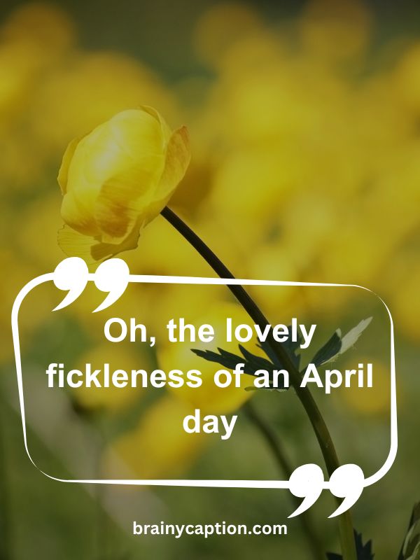 Thought Of The Day April 10- Oh, the lovely fickleness of an April day