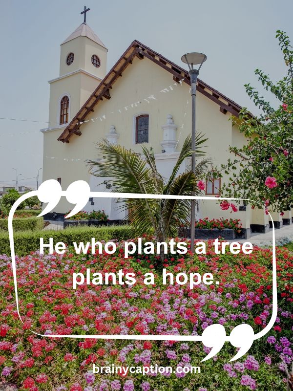 Thought Of The Day April 12- He who plants a tree plants a hope.