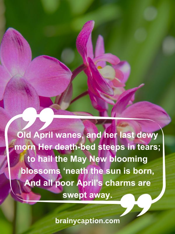 Thought Of The Day April 4- Old April wanes, and her last dewy morn Her death-bed steeps in tears; to hail the May New blooming blossoms ‘neath the sun is born, And all poor April's charms are swept away.