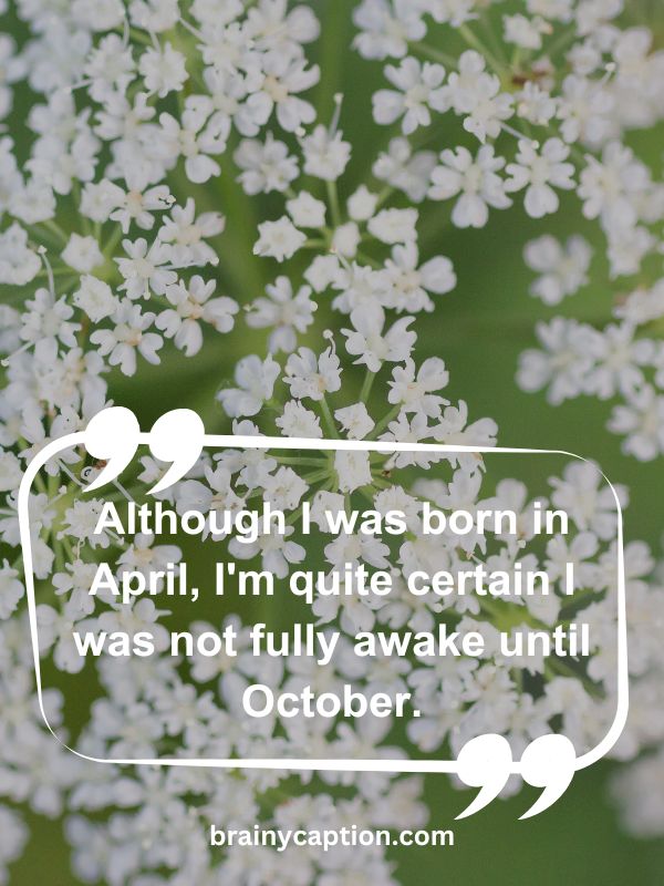 Thought Of The Day April 6- Although I was born in April, I'm quite certain I was not fully awake until October.