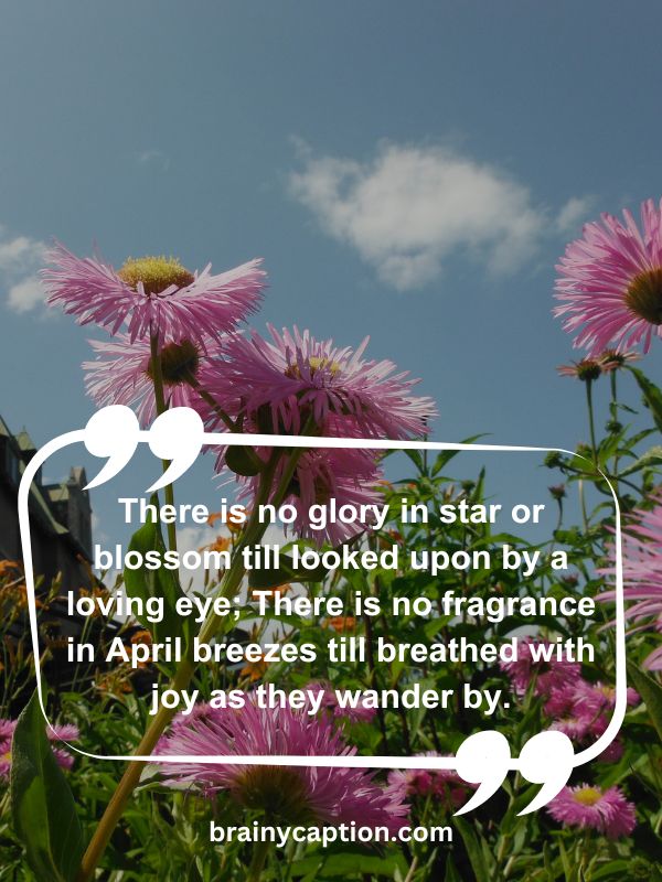Thought Of The Day April 9- There is no glory in star or blossom till looked upon by a loving eye; There is no fragrance in April breezes till breathed with joy as they wander by.
