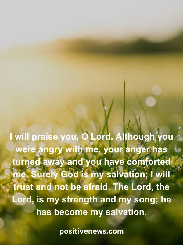 Verses Of The Day April 11- I will praise you, O Lord. Although you were angry with me, your anger has turned away and you have comforted me. Surely God is my salvation; I will trust and not be afraid. The Lord, the Lord, is my strength and my song; he has become my salvation.