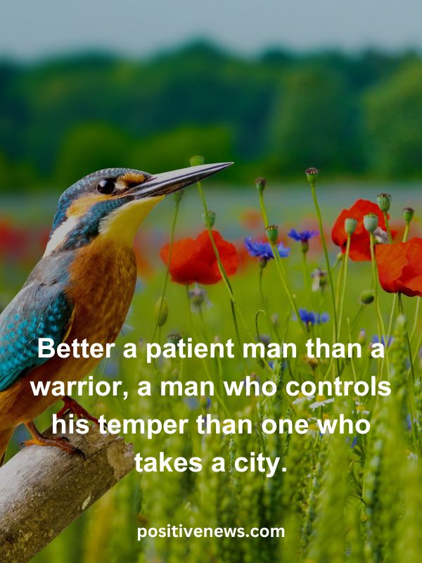 Verses Of The Day April 17- Better a patient man than a warrior, a man who controls his temper than one who takes a city.
