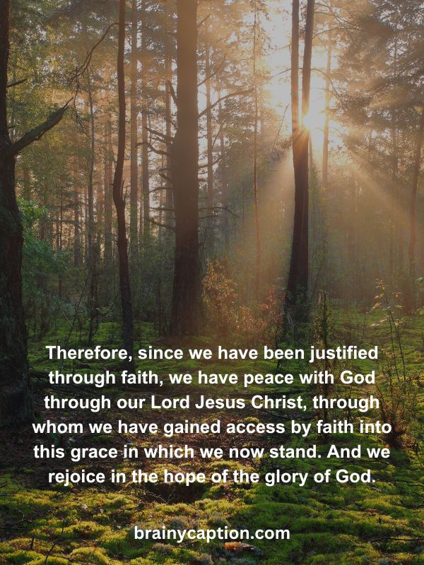 Verses Of The Day April 30- Therefore, since we have been justified through faith, we have peace with God through our Lord Jesus Christ, through whom we have gained access by faith into this grace in which we now stand. And we rejoice in the hope of the glory of God.