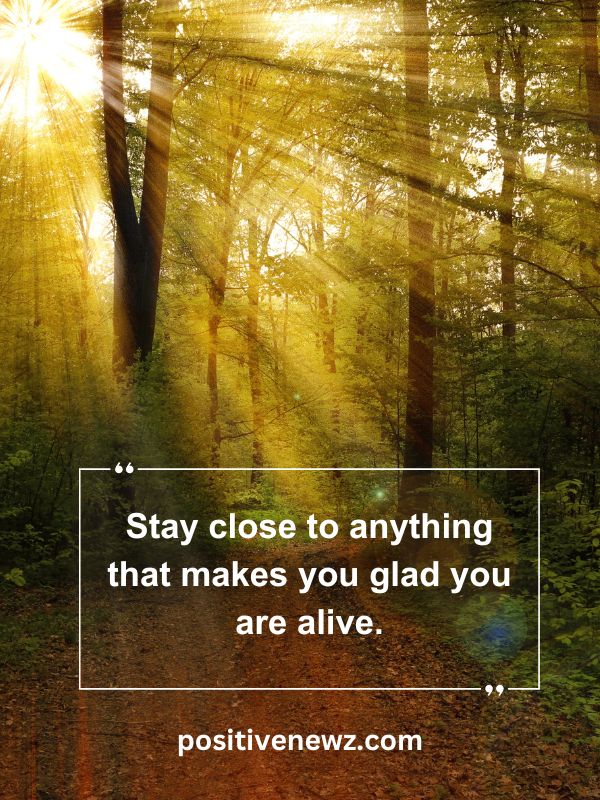 Quote Of The Day May 16- Stay close to anything that makes you glad you are alive.