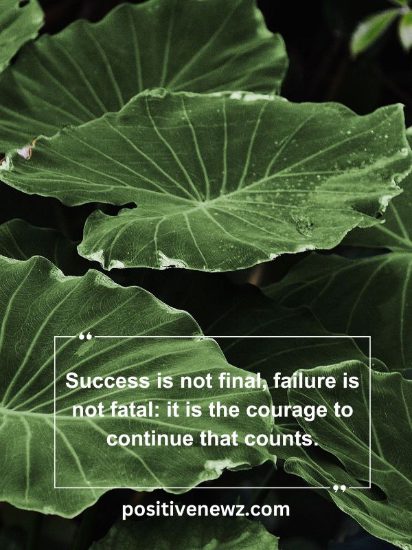 Quote Of The Day May 2- Success is not final, failure is not fatal: it is the courage to continue that counts.