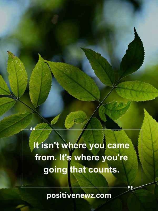 Quote Of The Day May 5- It isn't where you came from. It's where you're going that counts.