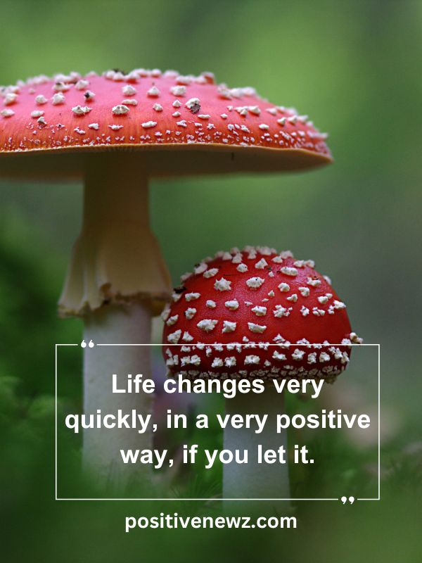 Quote Of The Day May 6- Life changes very quickly, in a very positive way, if you let it.