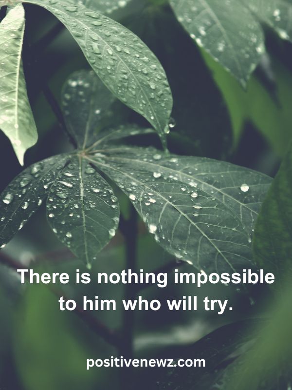 Thought Of The Day May 15- There is nothing impossible to him who will try.